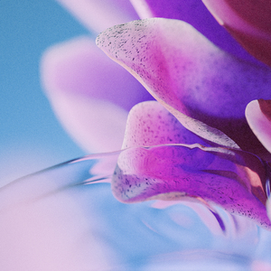 美女免费视频网站
