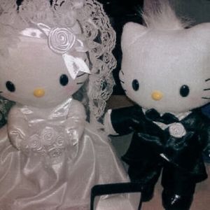 美女免费视频网站
