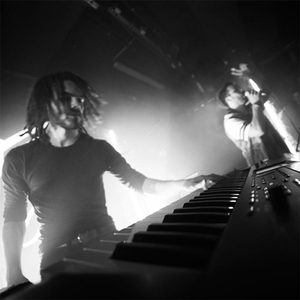 美女免费视频网站
