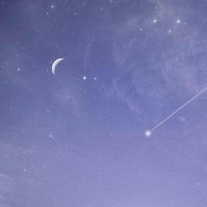 美女免费视频网站
