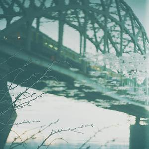 美女免费视频网站
