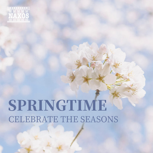 美女免费视频网站
